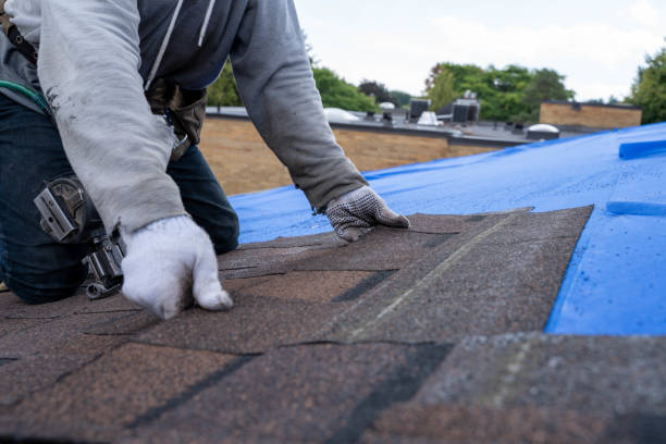 Best Commercial Roofing Services  in Niles, MI