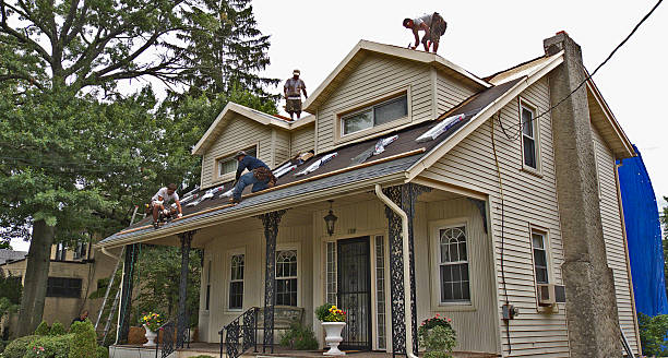 Best Roof Repair Specialists  in Niles, MI